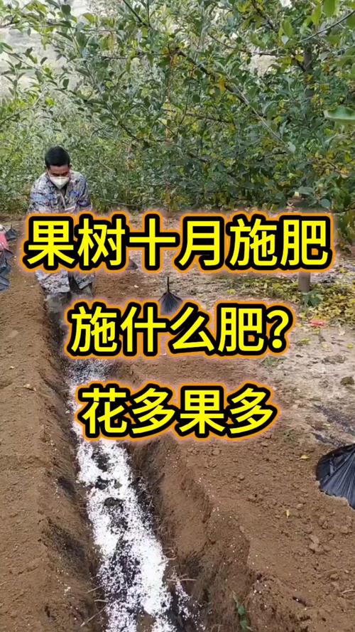 番石榴开花期能施肥吗?兼顾坐果率与树势的施肥方案 番石榴开花期的浇水管理