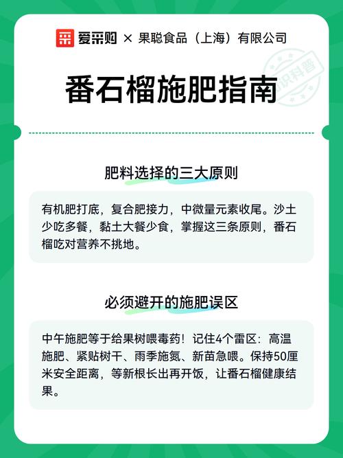 番石榴开花期能施肥吗?兼顾坐果率与树势的施肥方案 番石榴开花期的光照管理