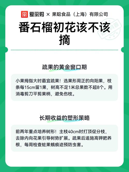 番石榴开花期能施肥吗?兼顾坐果率与树势的施肥方案 FAQ(常见问题)