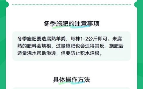冬季茶花可以施肥吗？家庭养护全方位指南