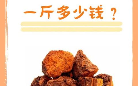 桦树茸价格多少钱一斤？规格、产地、采购量影响报价