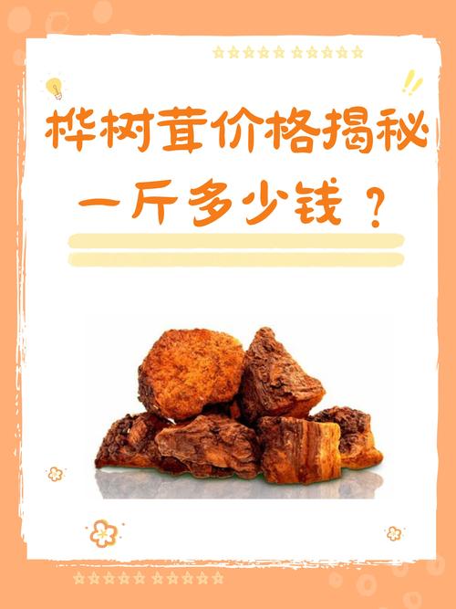桦树茸价格多少钱一斤?规格、产地、采购量影响报价 桦树茸价格多少钱一斤?规格、产地、采购量影响报价