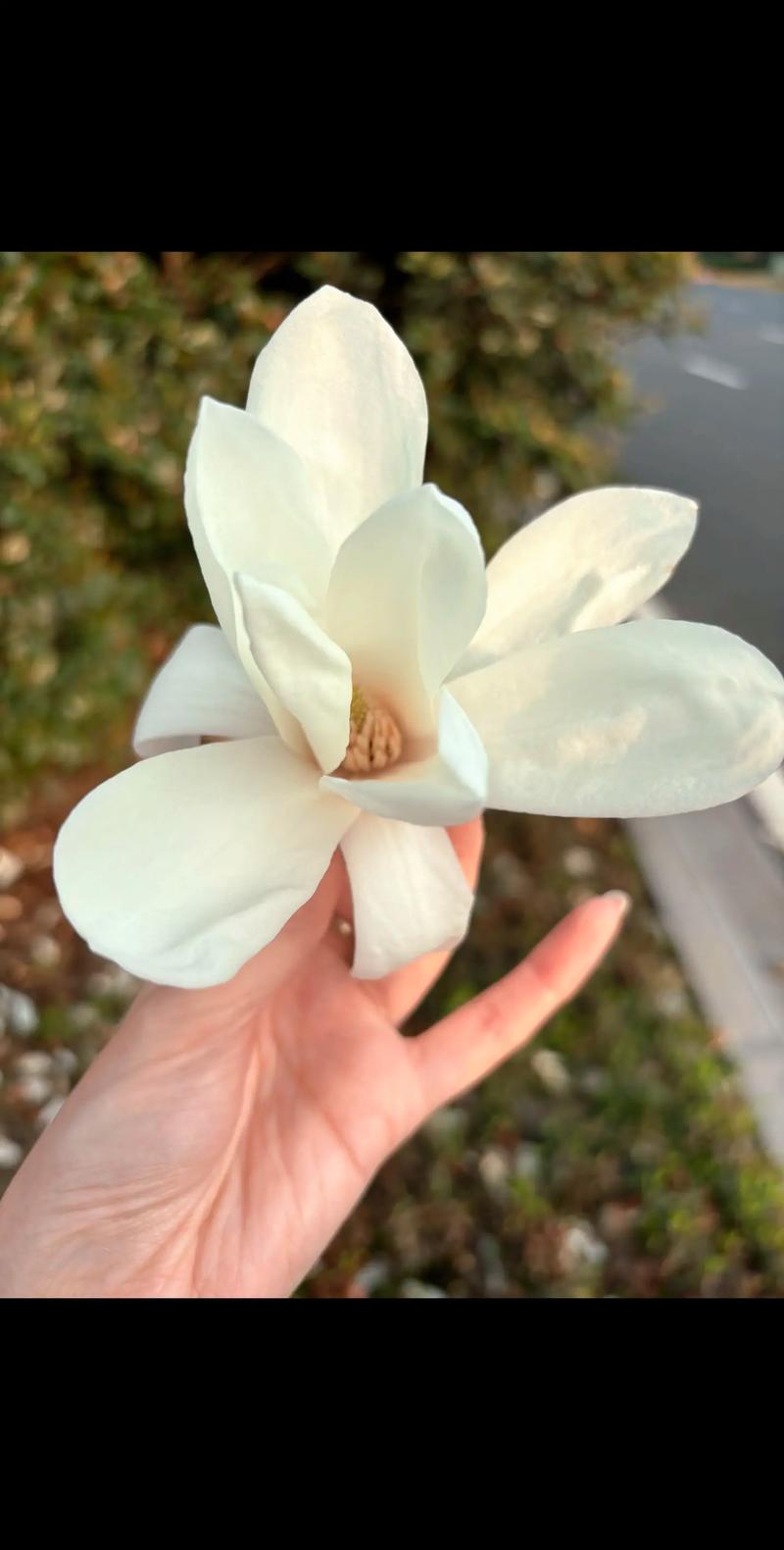 总结
