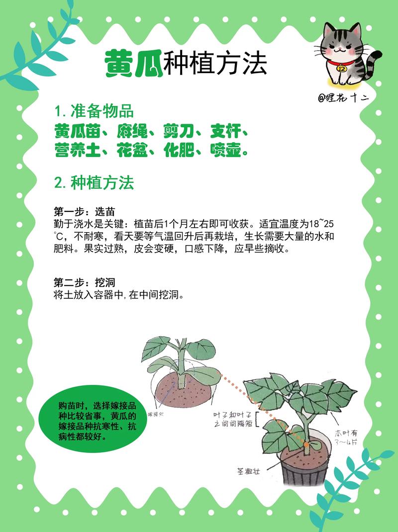 怎么种黄瓜种子?从播种到出苗的完整操作指南 二、土壤环境
