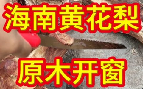 降香黄檀（海南黄花梨）百科：从植物学角度解读哪种料质最好