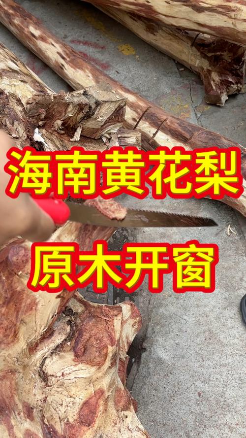 降香黄檀(海南黄花梨)百科:从植物学角度解读哪种料质最好 降香黄檀(海南黄花梨)百科:从植物学角度解读哪种料质最好