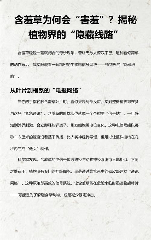 含羞草是含羞草吗?揭开它“害羞”背后的秘密 常见问题:为什么我的含羞草“不害羞”了?