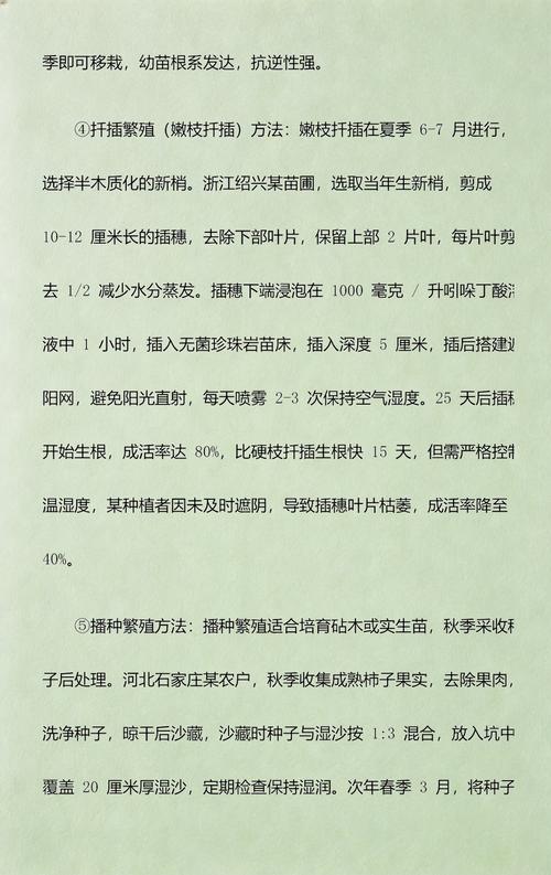 什么时候种柿子树?掌握这3个时间节点,成活率高达95% 六、结果年限与产量参考(2026年数据)