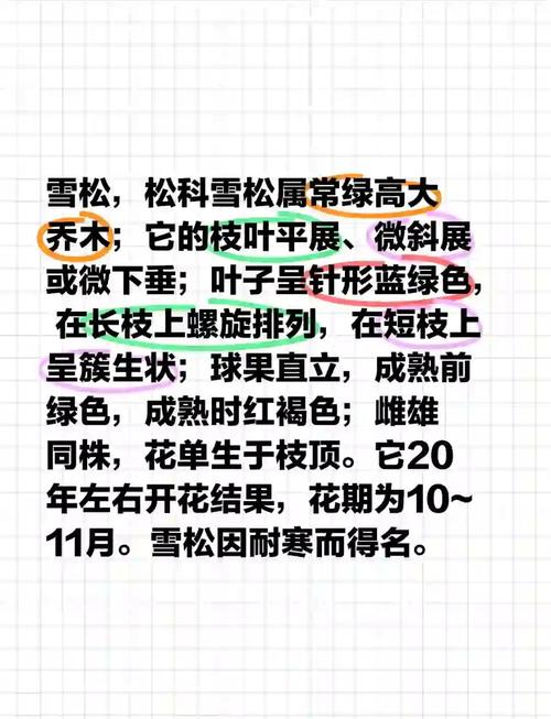 哪里有卖雪松树?雪松采购渠道筛选与苗木质量验收指南 总结
