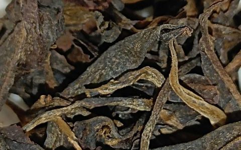易武古树茶：从乔木型大叶种茶树到普洱茶珍品