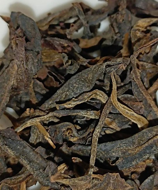 易武古树茶：从乔木型大叶种茶树到普洱茶珍品