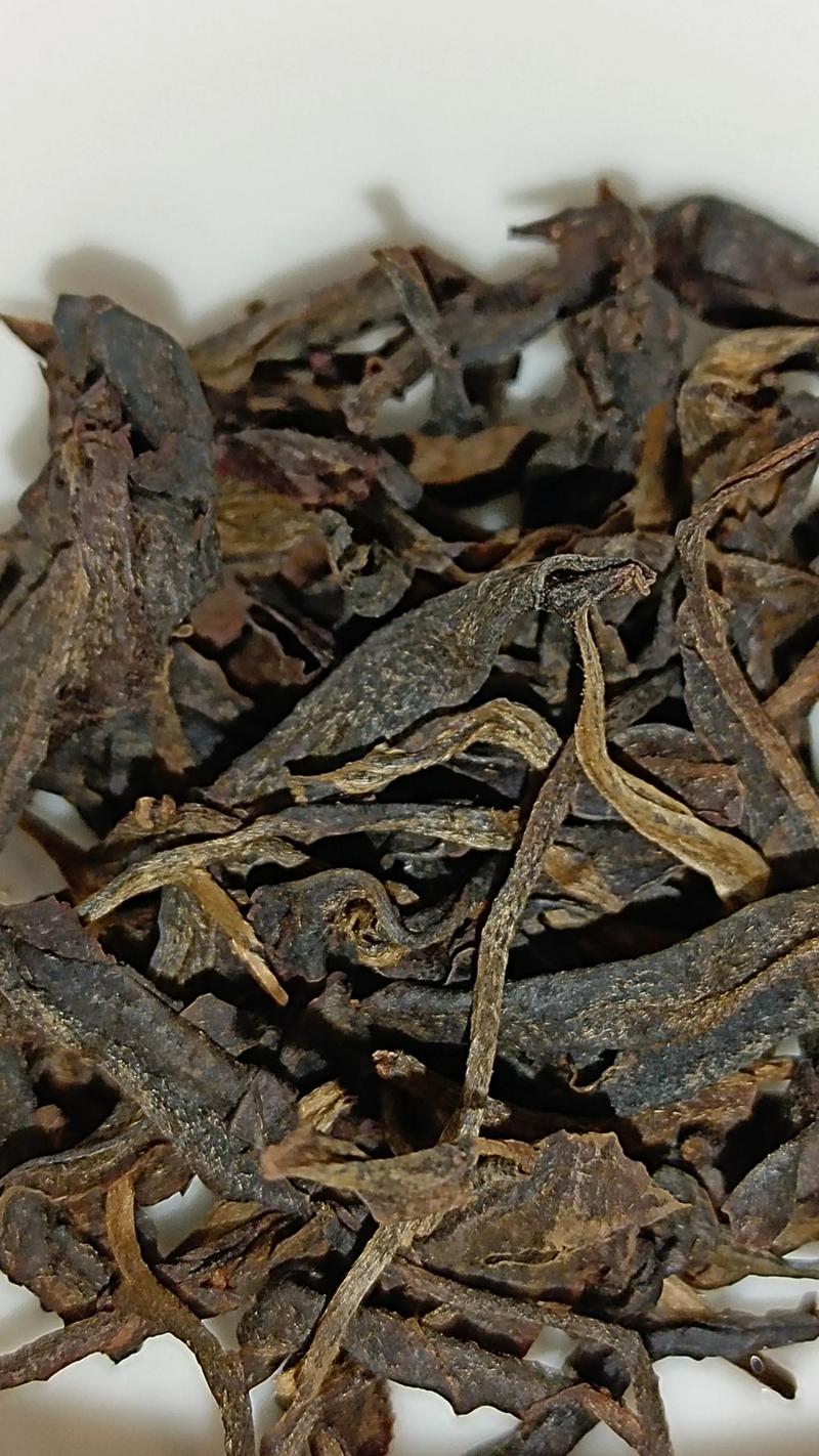 易武古树茶:从乔木型大叶种茶树到普洱茶珍品 易武古树茶:从乔木型大叶种茶树到普洱茶珍品