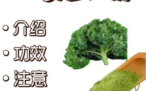 羽衣甘蓝粉可以代替蔬菜吗？营养专家的详细解答