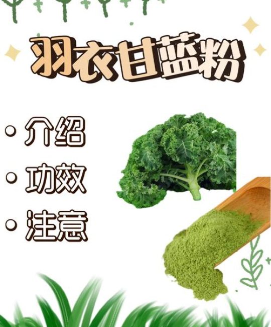 羽衣甘蓝粉可以代替蔬菜吗？营养专家的详细解答