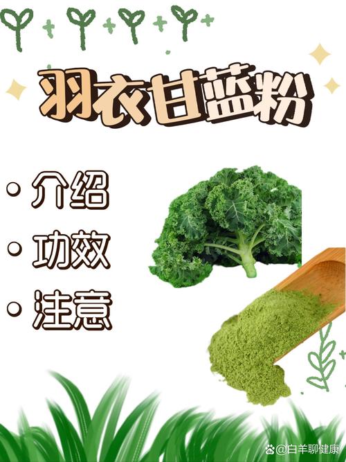 羽衣甘蓝粉可以代替蔬菜吗?营养专家的详细解答 羽衣甘蓝粉可以代替蔬菜吗?营养专家的详细解答