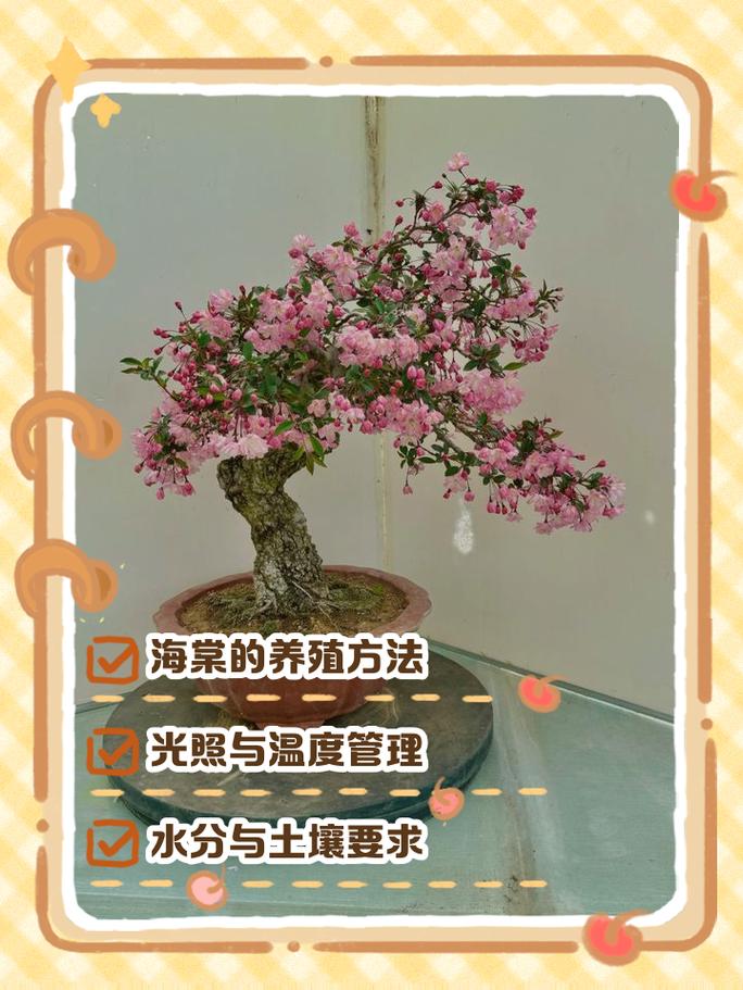 如何栽培海棠花:从选时到成活的完整种植技术指南 栽植深度
