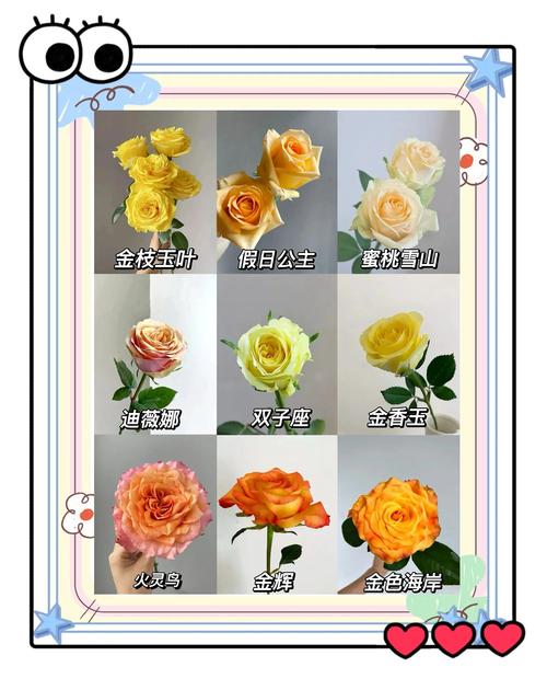 春日里的金黄盛宴:那些“黄黄的”惊艳花卉与园艺指南 结语