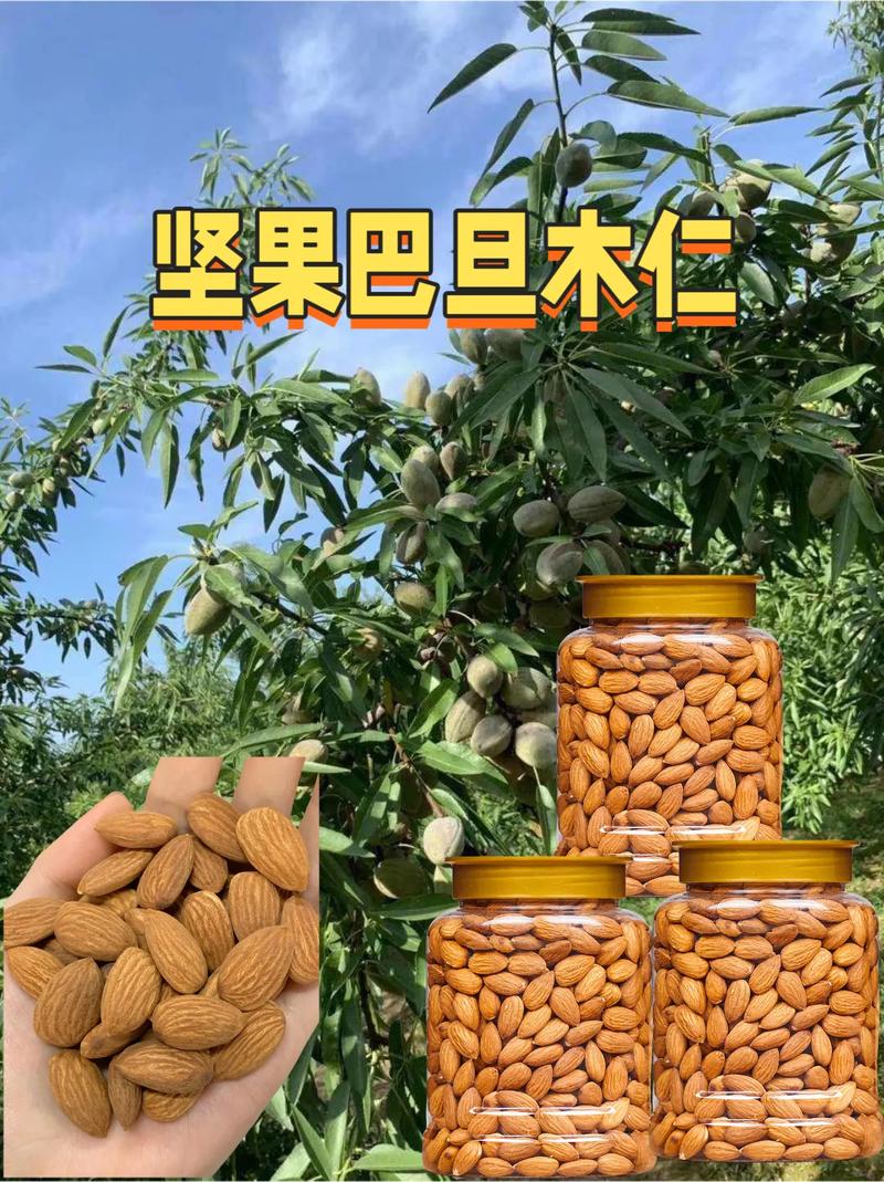 吃巴旦木有什么好处和坏处?食用、药用与安全常识全解析 三、安全性核心:风险与注意事项