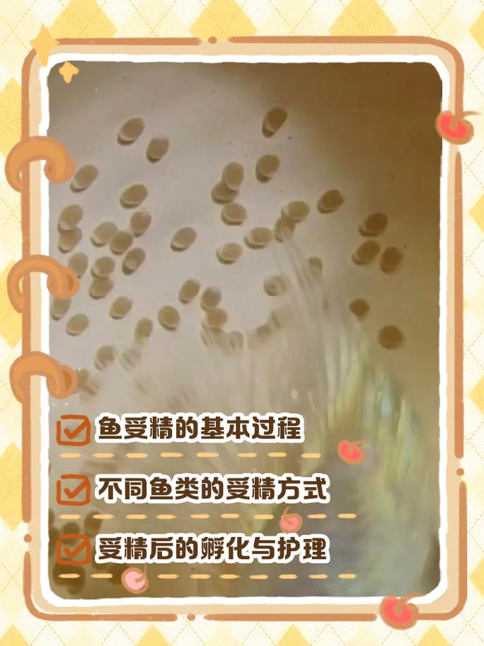 黑鱼苗怎么繁殖?——繁殖育苗技术专家全流程指导 五、幼苗管理指南与移栽决策