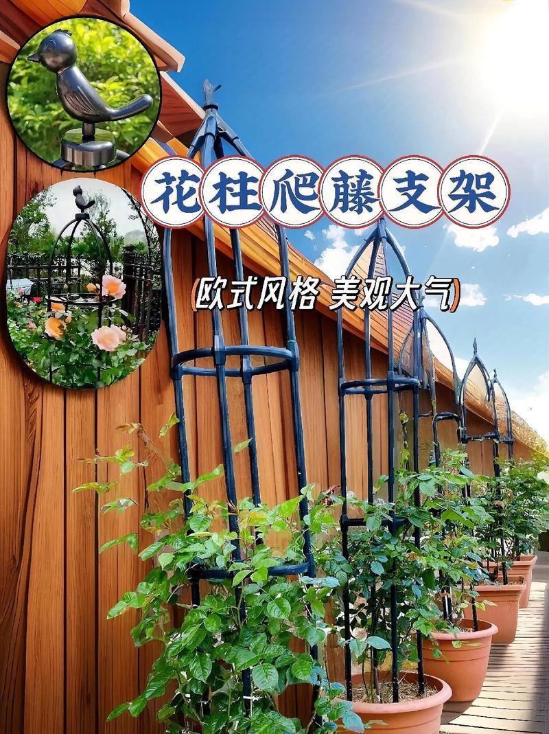 藤本攀爬植物栽培全指南:攀附方式、支架牵引、花墙棚架、修剪控形、根系与墙体安全 常见错误:新手最容易犯的3个问题