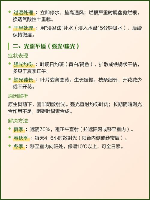 杜鹃花叶子发黄怎么办?常见原因及解决方法 三、土壤酸碱度失衡:杜鹃花最怕“碱”