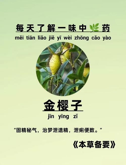 谷许堂种子调好的糖,到底是什么?园艺神效大揭秘! 四、使用禁忌与常见误区