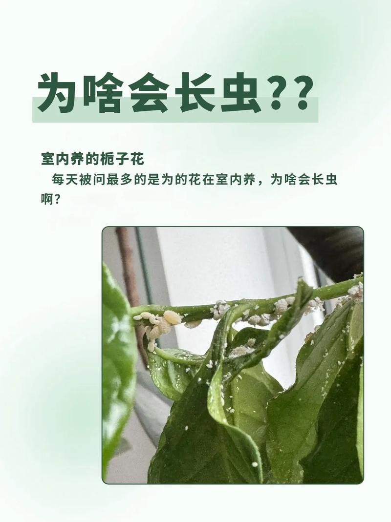 三、防治方法：对症下药，安全第一