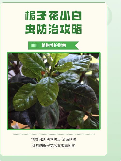 四、预防永远比治疗轻松