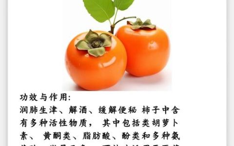 柿子最好三个品种：2026年家庭种植与选购全攻略