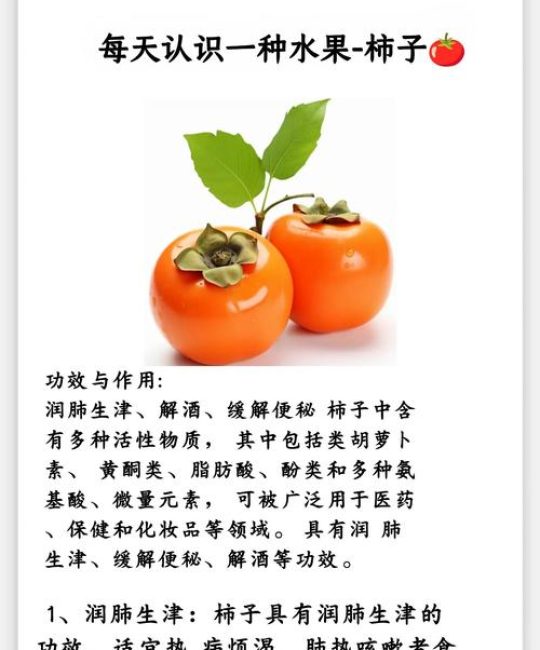 柿子最好三个品种：2026年家庭种植与选购全攻略