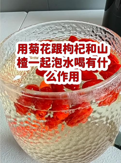 枸杞和菊花喝了有什么好处?一文读懂这对经典搭配的食用与药用常识 食用常识:这对搭配怎么喝更合理?