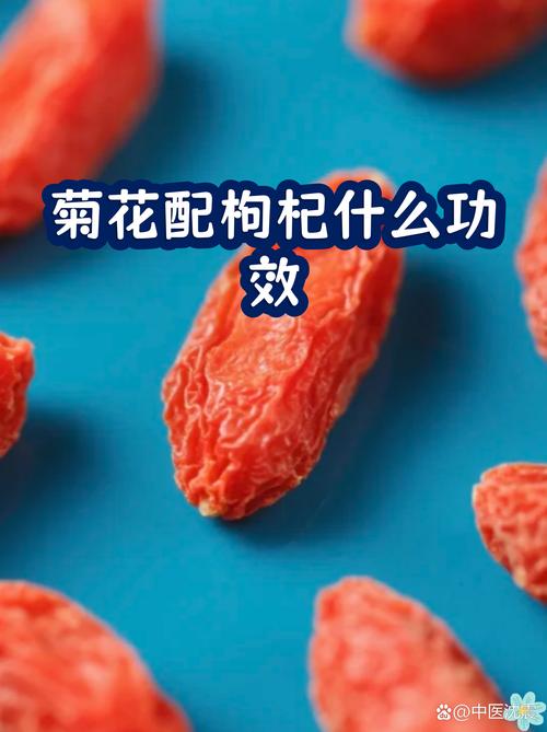 枸杞和菊花喝了有什么好处?一文读懂这对经典搭配的食用与药用常识 注意事项与禁忌人群