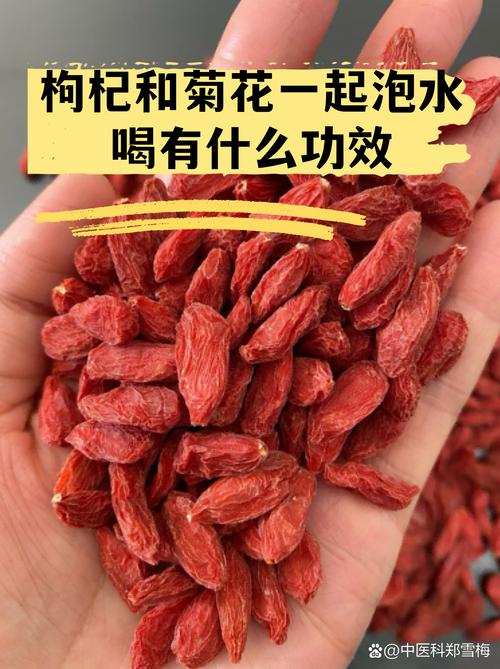 枸杞和菊花喝了有什么好处?一文读懂这对经典搭配的食用与药用常识 参考资料