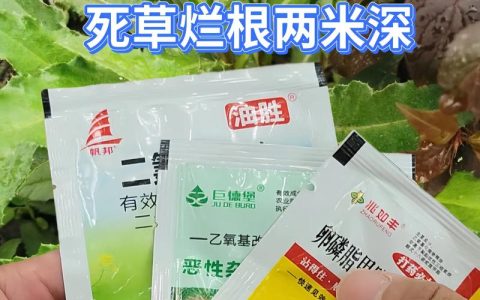 刺儿菜顽固难除？科学使用除草剂彻底除根的实操指南