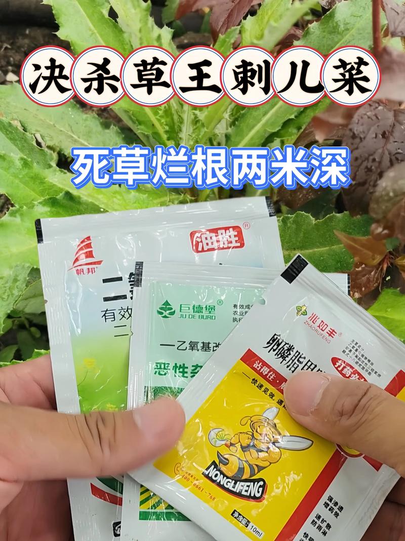 刺儿菜顽固难除?科学使用除草剂彻底除根的实操指南 刺儿菜顽固难除?科学使用除草剂彻底除根的实操指南