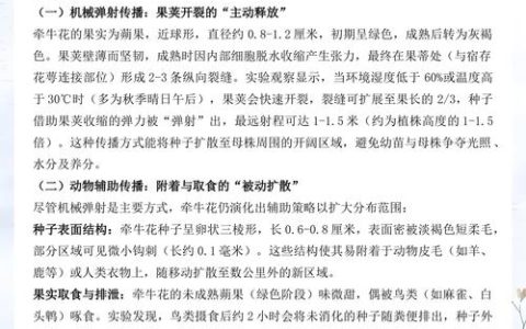 牵牛花种子传播与高效种植技术指南