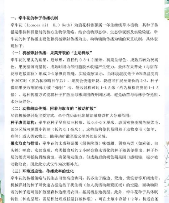 牵牛花种子传播与高效种植技术指南