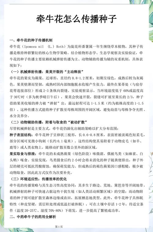 牵牛花种子传播与高效种植技术指南 一、适宜播种时间