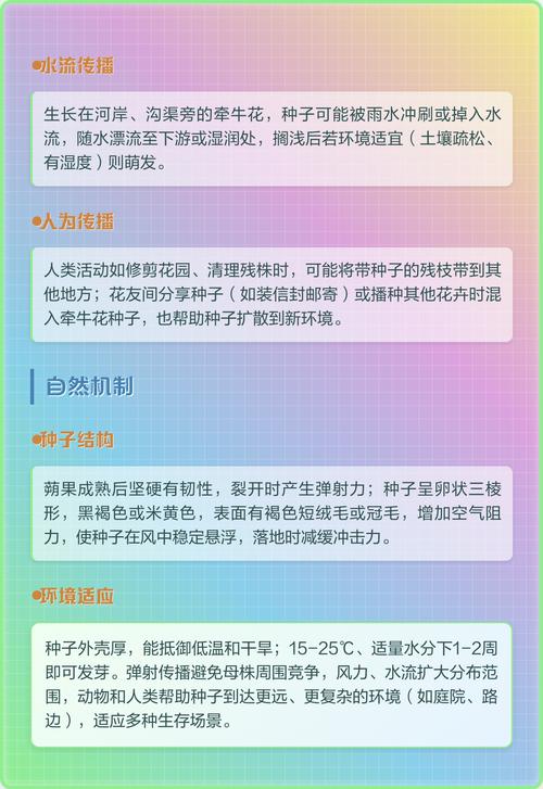 牵牛花种子传播与高效种植技术指南 七、成活注意事项