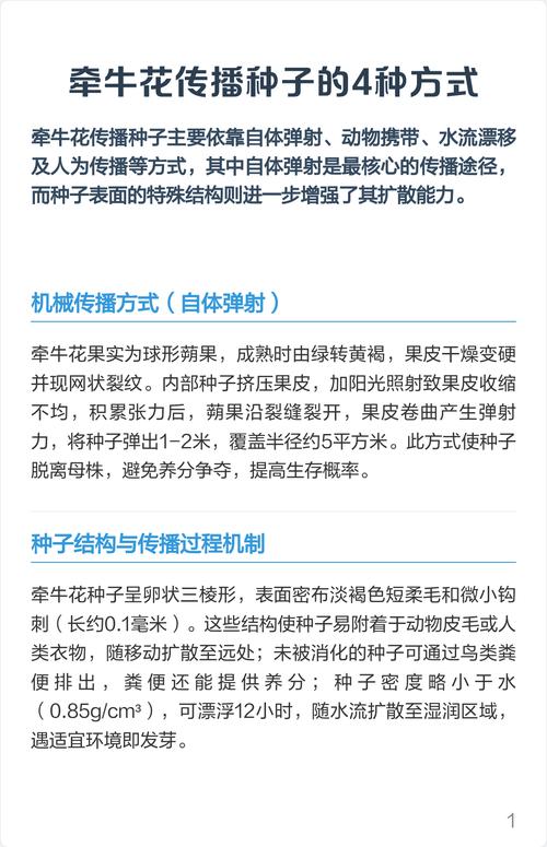 牵牛花种子传播与高效种植技术指南 六、缓苗管理
