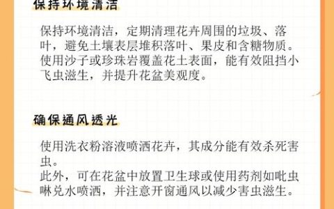 花土里有小飞虫怎么去除小妙招：家庭盆栽土虫害治理全攻略