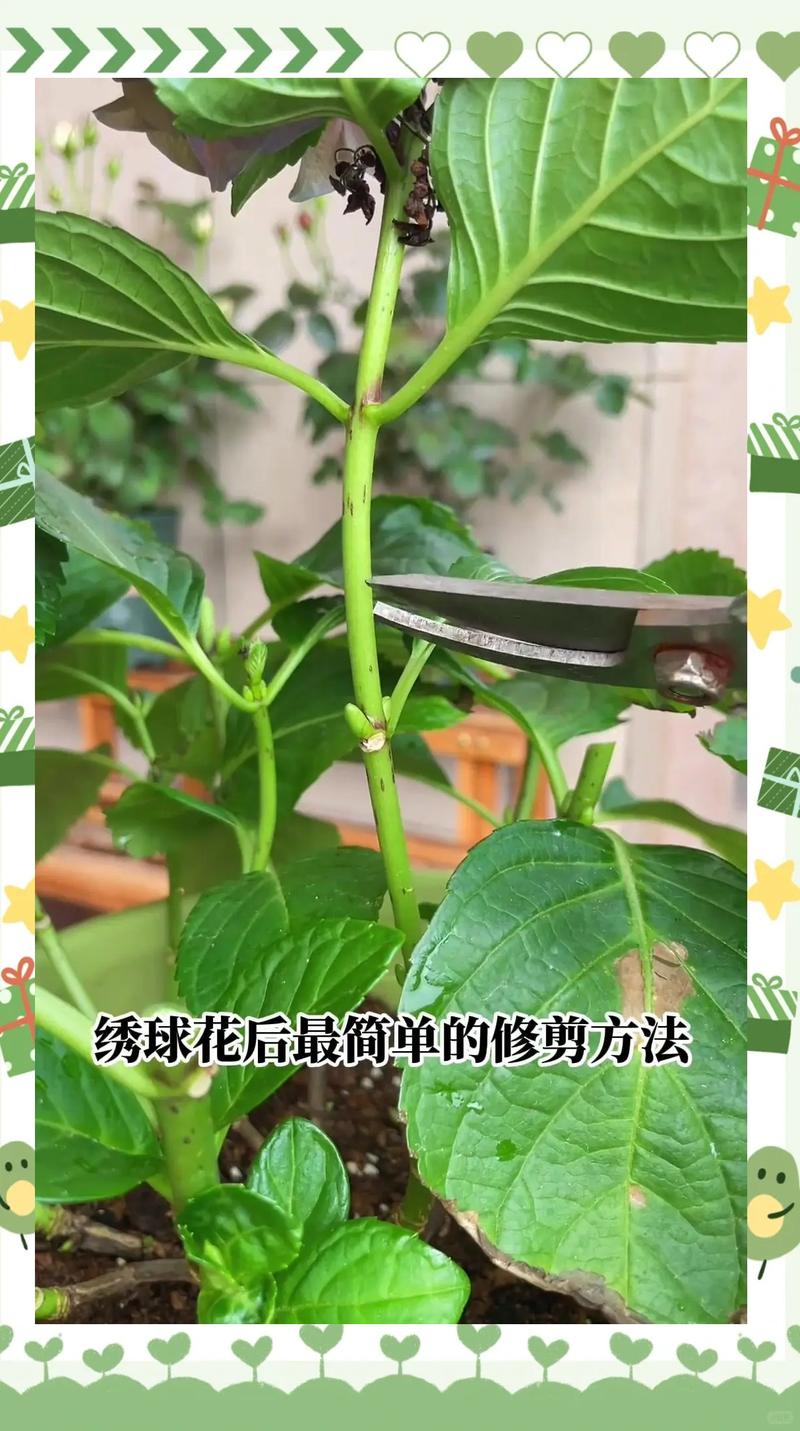 越冬越夏：冬眠春醒，两端都需要细心防护