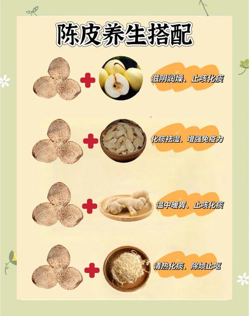 石斛麦冬山楂菊花陈皮能一起喝么?中医配方解析与正确搭配指南 饮用禁忌与注意事项:这些人群需谨慎