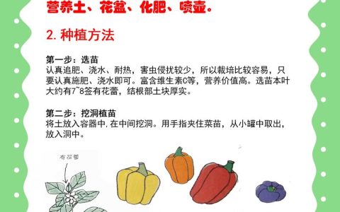 花椒种子怎么种？详细育苗指南与七步操作流程