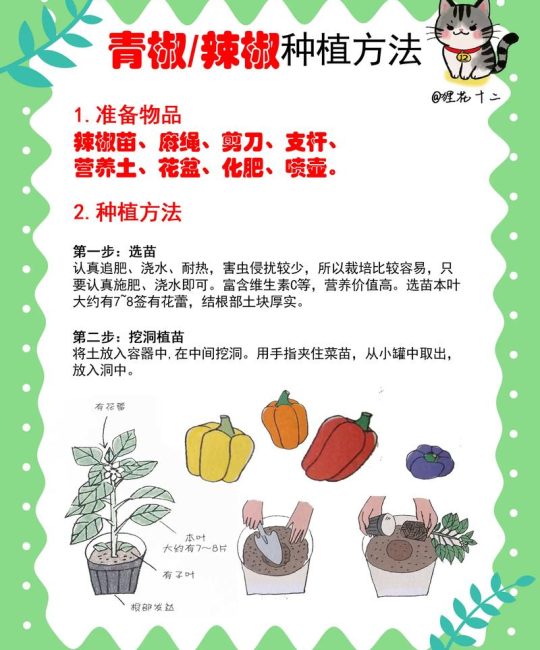 花椒种子怎么种？详细育苗指南与七步操作流程