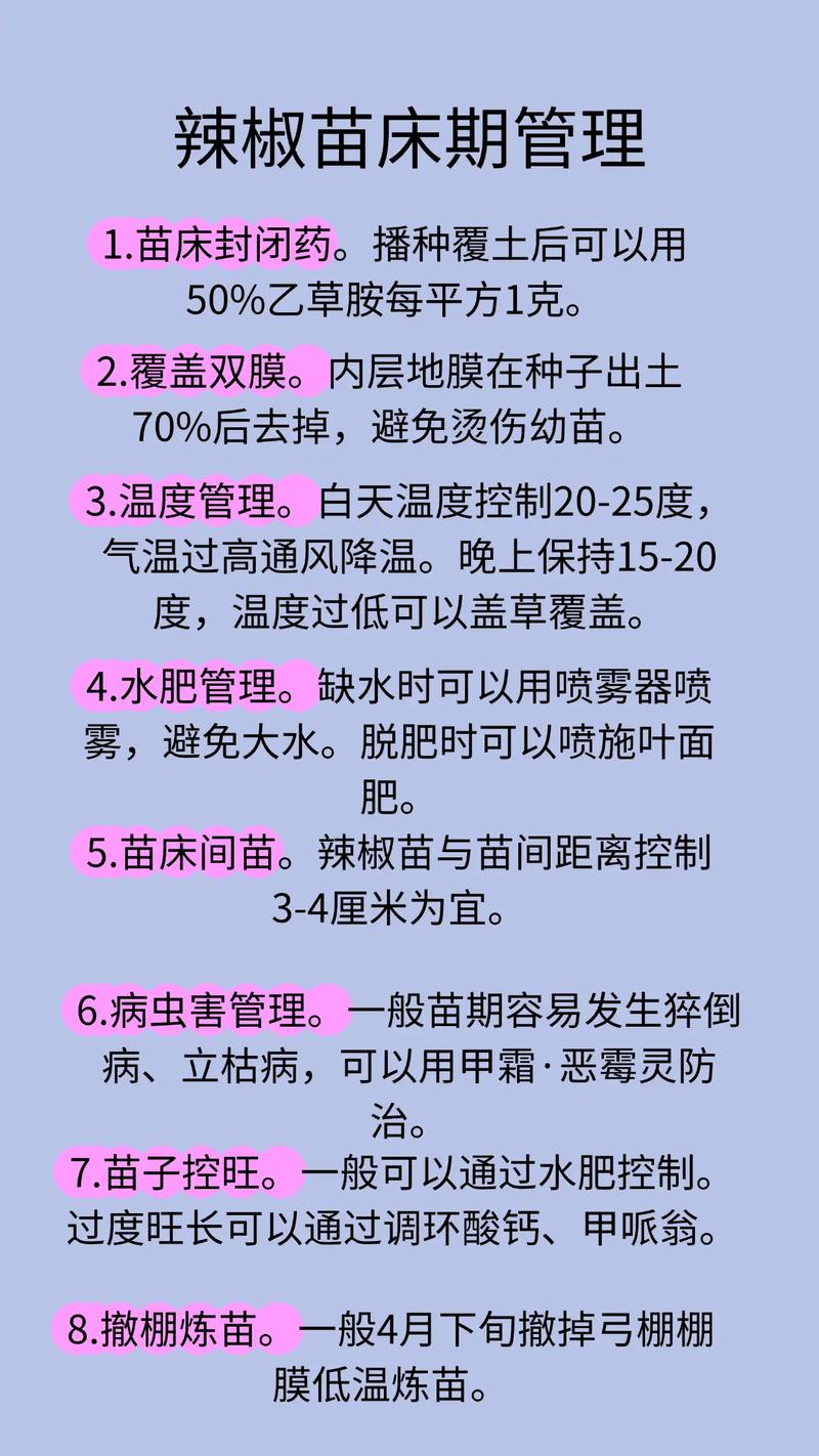 花椒种子怎么种?详细育苗指南与七步操作流程 三、栽前处理(重点是种子处理)