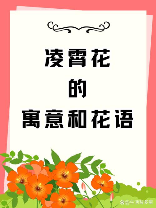 花卉象征意义与科学养护指南:牡丹、竹子与石榴的庭院应用 花卉象征意义与科学养护指南:牡丹、竹子与石榴的庭院应用
