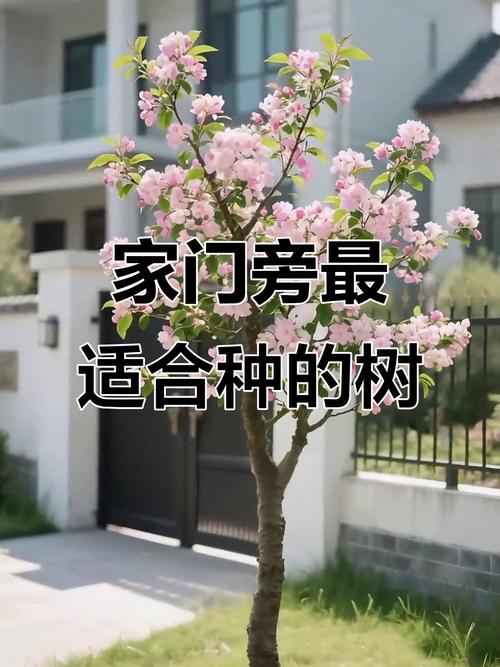 四、栽植深度：根颈不能埋太深