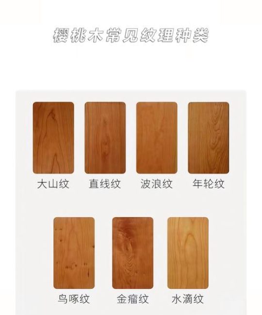 小叶樱桃木是什么植物？蔷薇科李属落叶小乔木详解