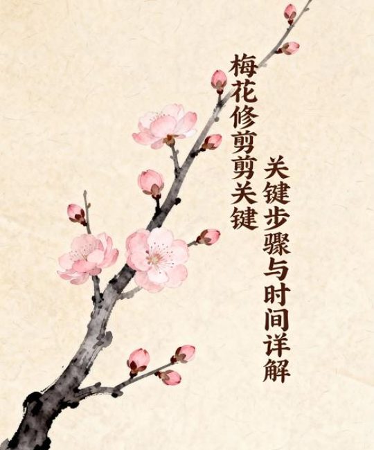 梅花什么时候修剪最合适？家庭盆栽科学养护全攻略